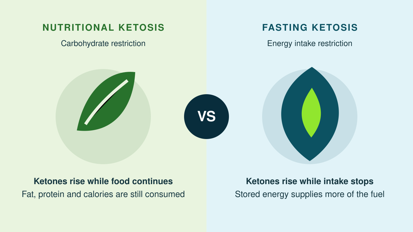 Ketosis versus fasting ketosis comparison showing food-based ketosis and fasting fuel use